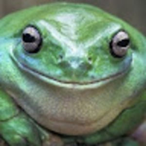 Meet your Posher, Frank